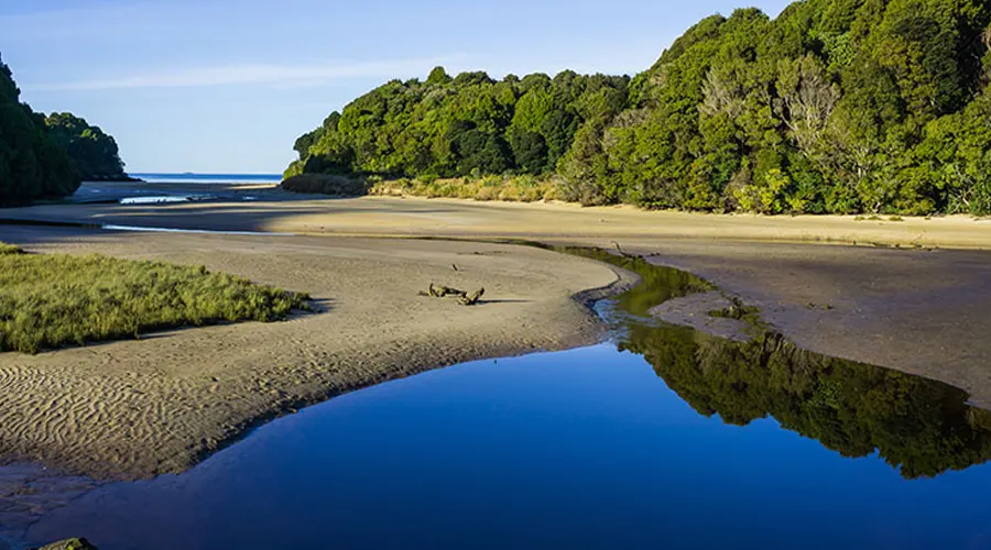 Stewart Island Beach